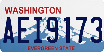 WA license plate AEI9173
