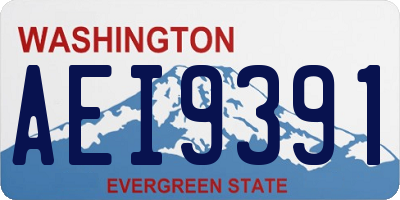 WA license plate AEI9391