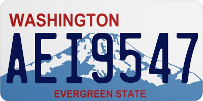 WA license plate AEI9547