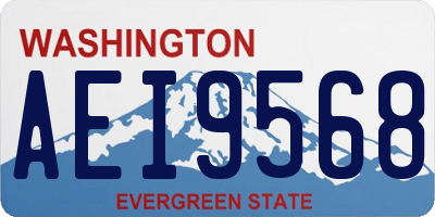 WA license plate AEI9568