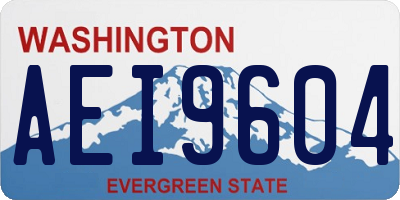 WA license plate AEI9604