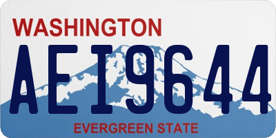 WA license plate AEI9644
