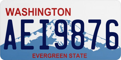 WA license plate AEI9876