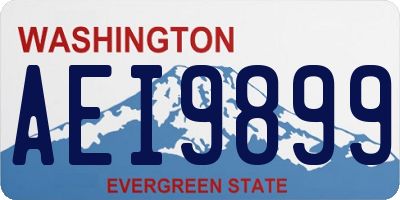 WA license plate AEI9899
