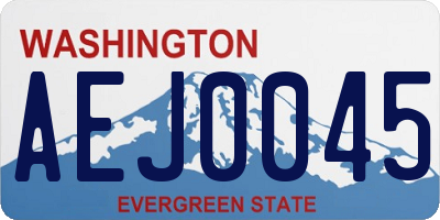 WA license plate AEJ0045