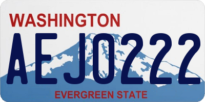 WA license plate AEJ0222