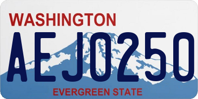 WA license plate AEJ0250