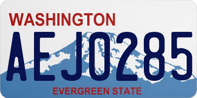 WA license plate AEJ0285