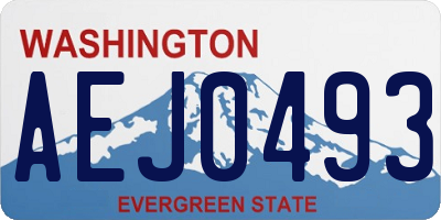WA license plate AEJ0493