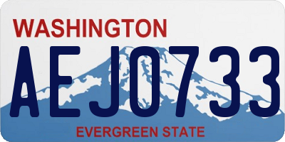 WA license plate AEJ0733