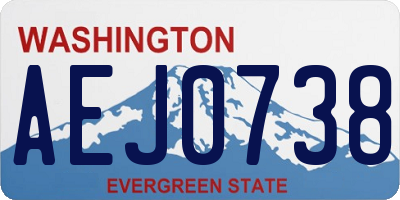 WA license plate AEJ0738
