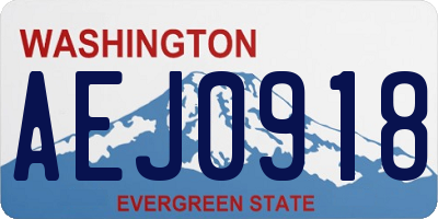 WA license plate AEJ0918