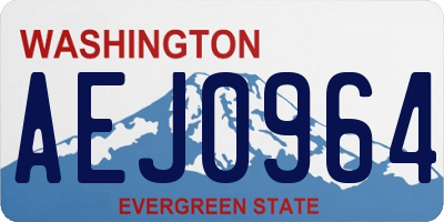 WA license plate AEJ0964