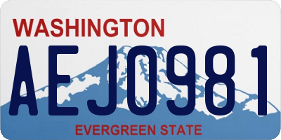WA license plate AEJ0981