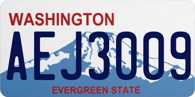 WA license plate AEJ3009
