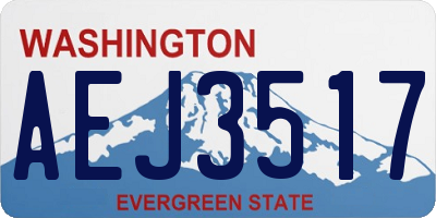 WA license plate AEJ3517