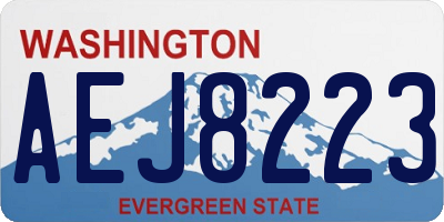 WA license plate AEJ8223