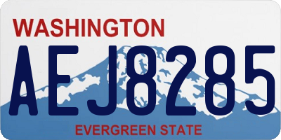 WA license plate AEJ8285