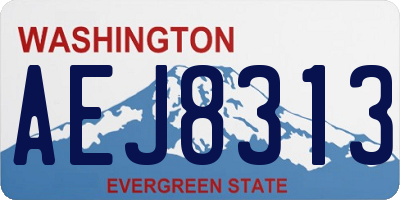 WA license plate AEJ8313