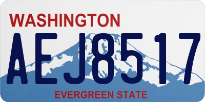 WA license plate AEJ8517