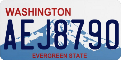 WA license plate AEJ8790
