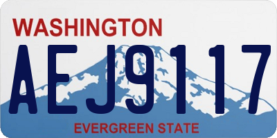 WA license plate AEJ9117