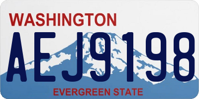 WA license plate AEJ9198