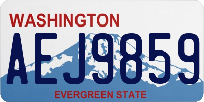 WA license plate AEJ9859