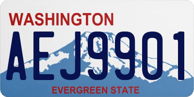 WA license plate AEJ9901