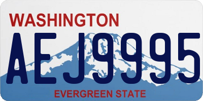 WA license plate AEJ9995