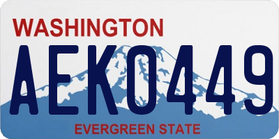 WA license plate AEK0449