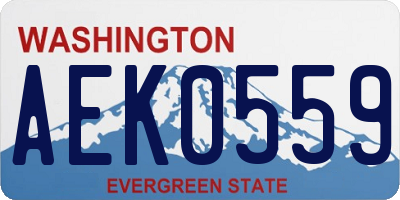 WA license plate AEK0559