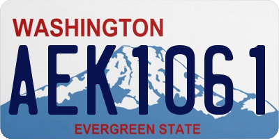WA license plate AEK1061