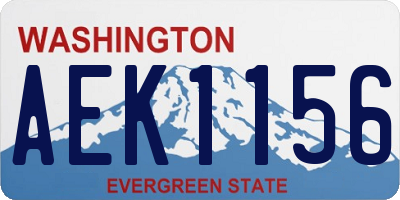 WA license plate AEK1156