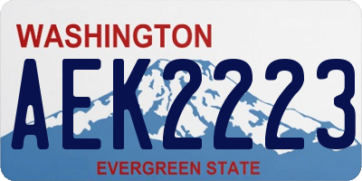 WA license plate AEK2223