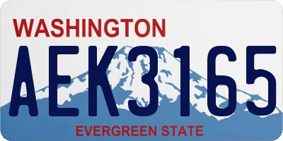 WA license plate AEK3165
