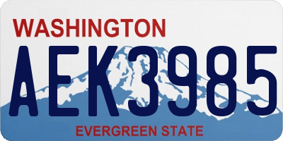 WA license plate AEK3985