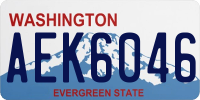 WA license plate AEK6046