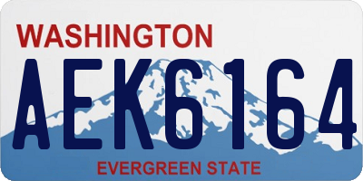 WA license plate AEK6164