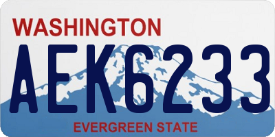 WA license plate AEK6233
