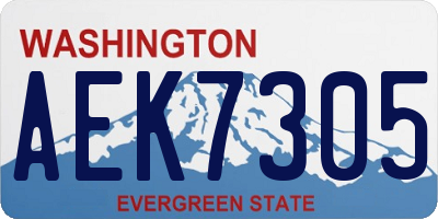 WA license plate AEK7305