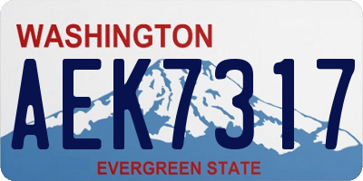 WA license plate AEK7317