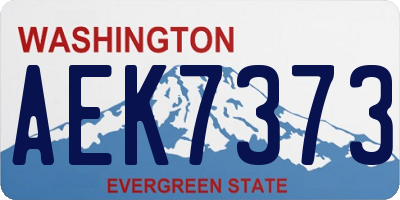 WA license plate AEK7373