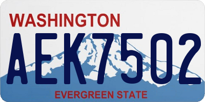 WA license plate AEK7502