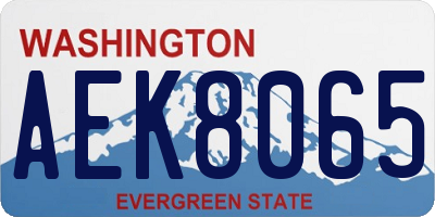 WA license plate AEK8065