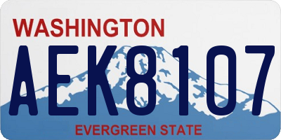 WA license plate AEK8107