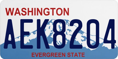 WA license plate AEK8204