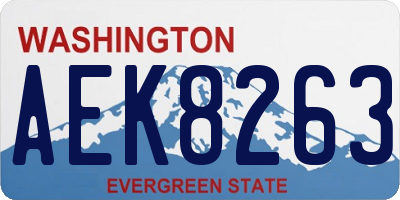 WA license plate AEK8263
