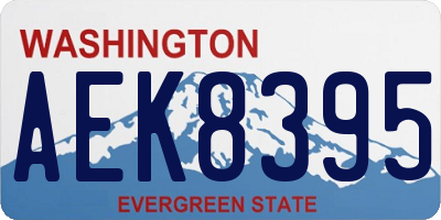 WA license plate AEK8395