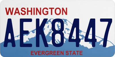 WA license plate AEK8447